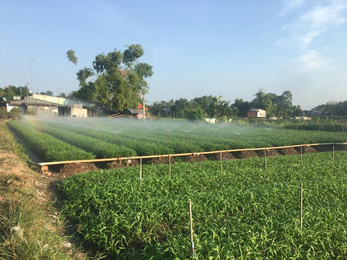 Chau Doc Homestay Buitenkant foto